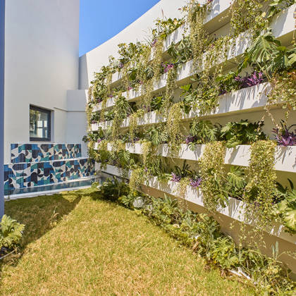 Outdoor garden space filled with shelves of plants