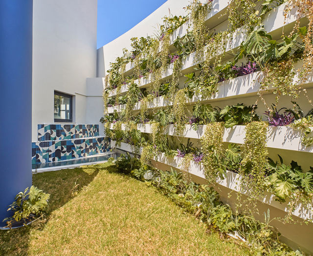 Outdoor garden space filled with shelves of plants