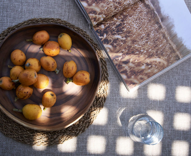 A bowl of fresh fruit beside a nature book and glass of water under dappled sunlight