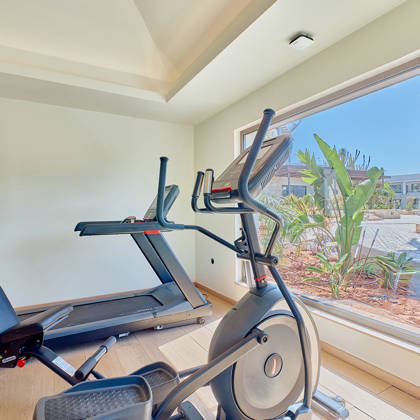 Treadmill and elliptical machine in a bright indoor gym with a garden view.