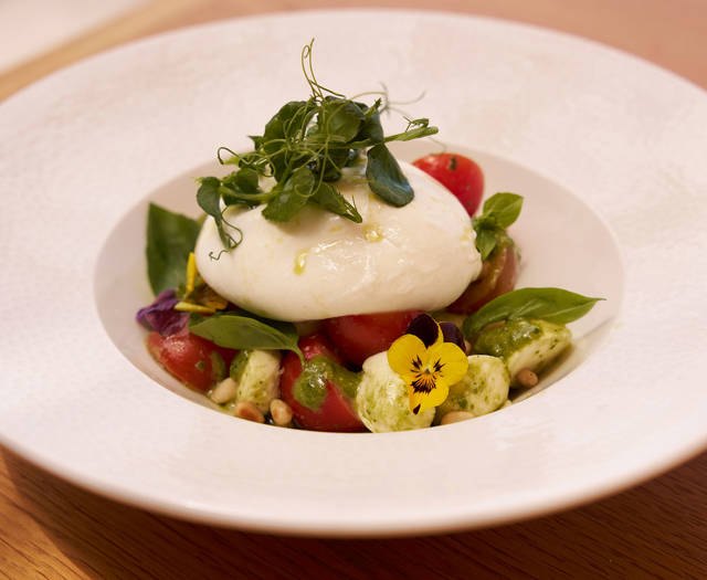 Fresh burrata salad with cherry tomatoes, basil, pesto drizzle, and edible flowers on a white plate.