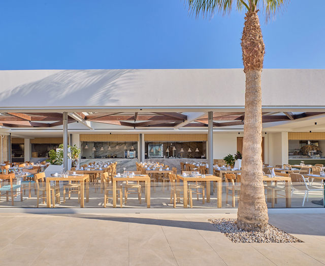 Wide-angle view of a modern open-air restaurant with wooden furniture, open kitchen, and a palm tree in front.