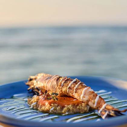 Grilled prawn elegantly plated on a blue dish with sauce and grains, set against a seaside backdrop.