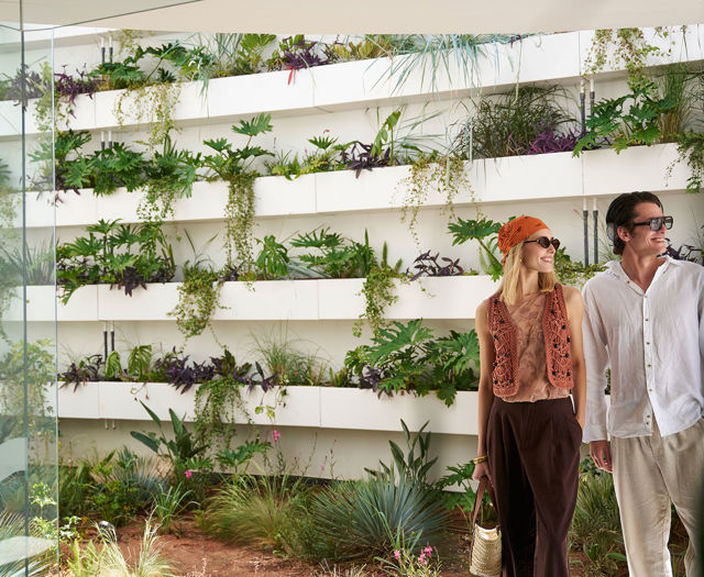 Happy couple standing in an indoor garden space filled with shelves of plants