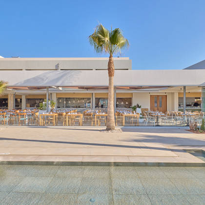Exterior view of a modern open-air restaurant with palm trees in front.
