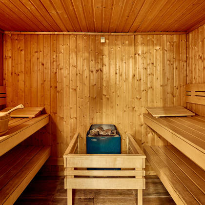 Traditional sauna room with wooden benches and a central heater.