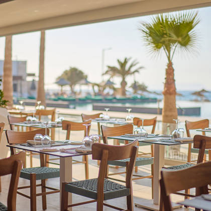 Seaside dining area with wooden chairs and glass tables overlooking palm trees and the beach.